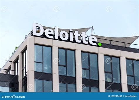 deloitte professionali.